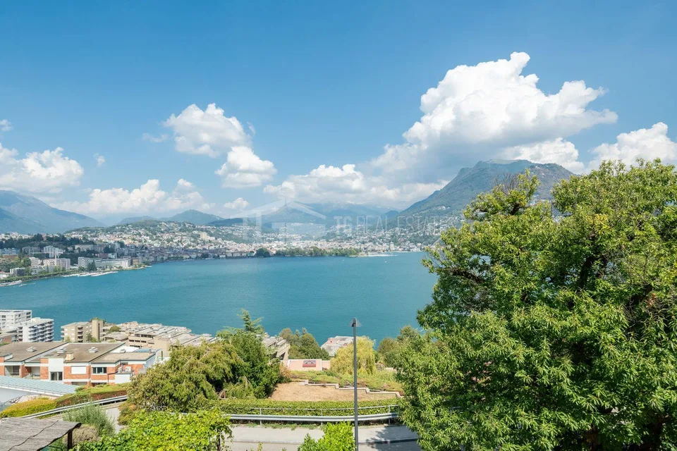 APPARTAMENTO DI 3.5 AMMOBILIATO CON VISTA LAGO