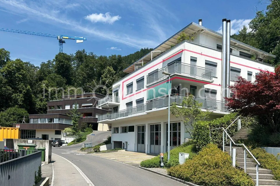 Exklusive 4 ½ Zi. EGTW mit traumhafter Seesicht in Walchwil