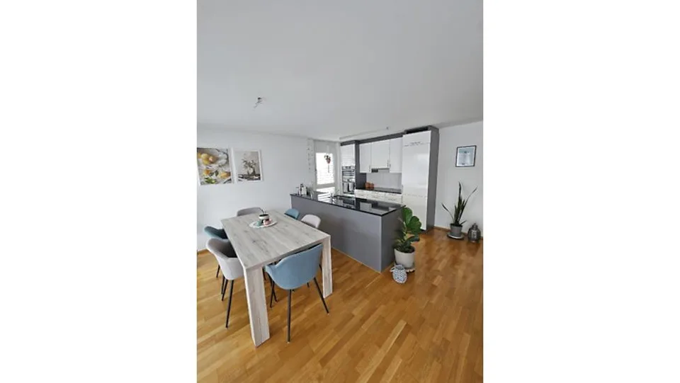 3 ZI-WOHNUNG IN WALLENWIL (TG), MÖBLIERT, TEMPORÄR
