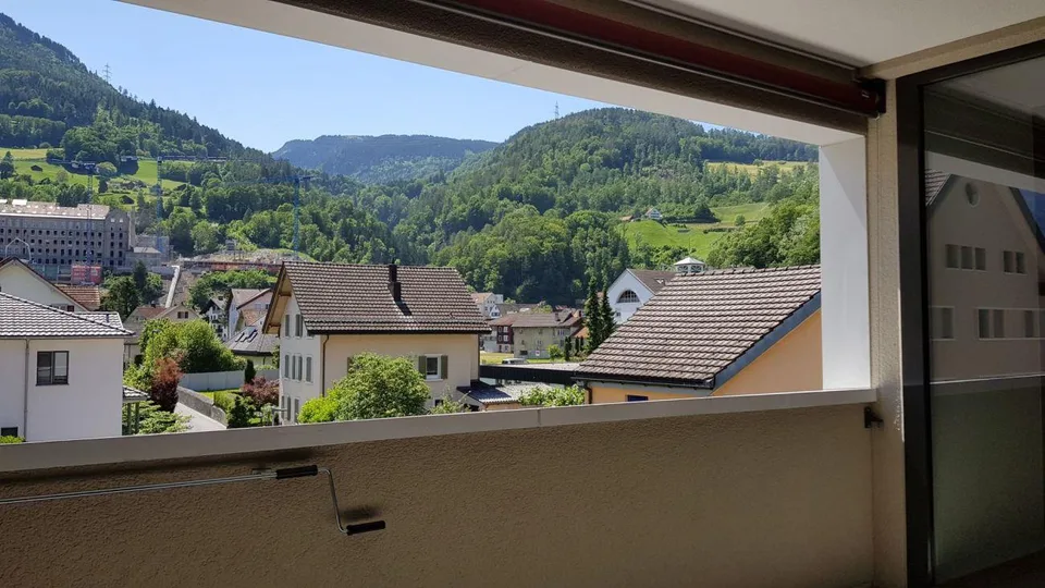 Newly valued 3.5-room apartment with central location