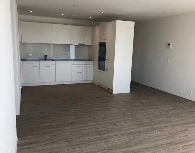Suchen Sie eine top moderne 1.5-Zimmer Wohnung?