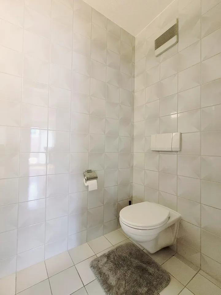 Cozy 3.5-room apartment near the old town of Zofingen