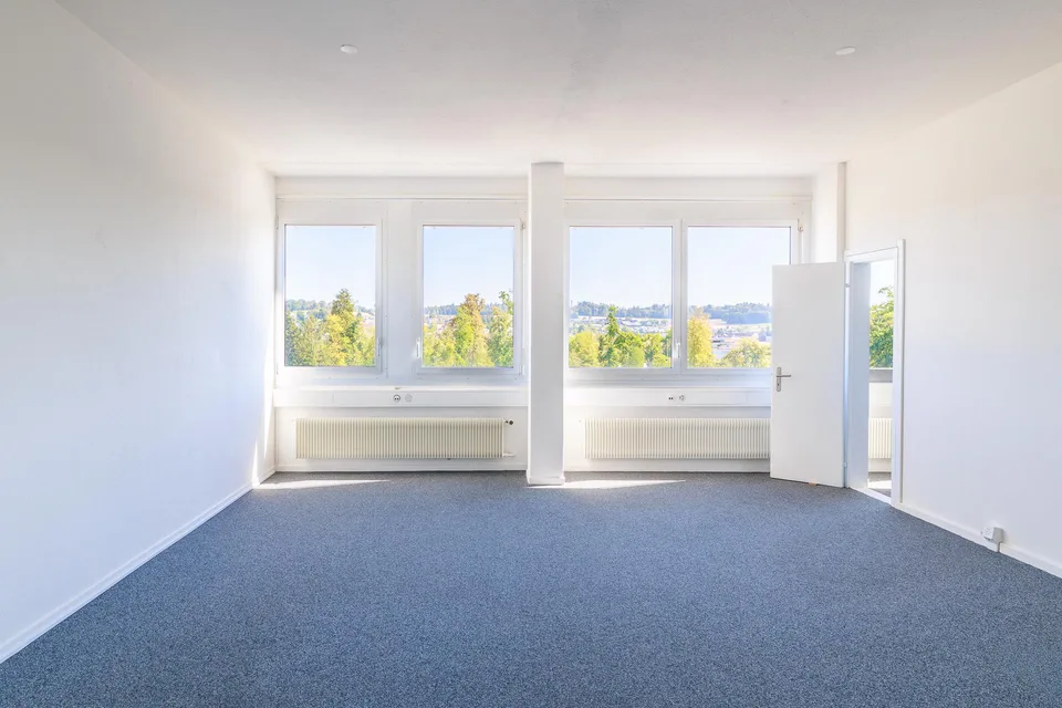 Grosszügige Büro und/ oder Gewerbefläche mit Loft-Charakter