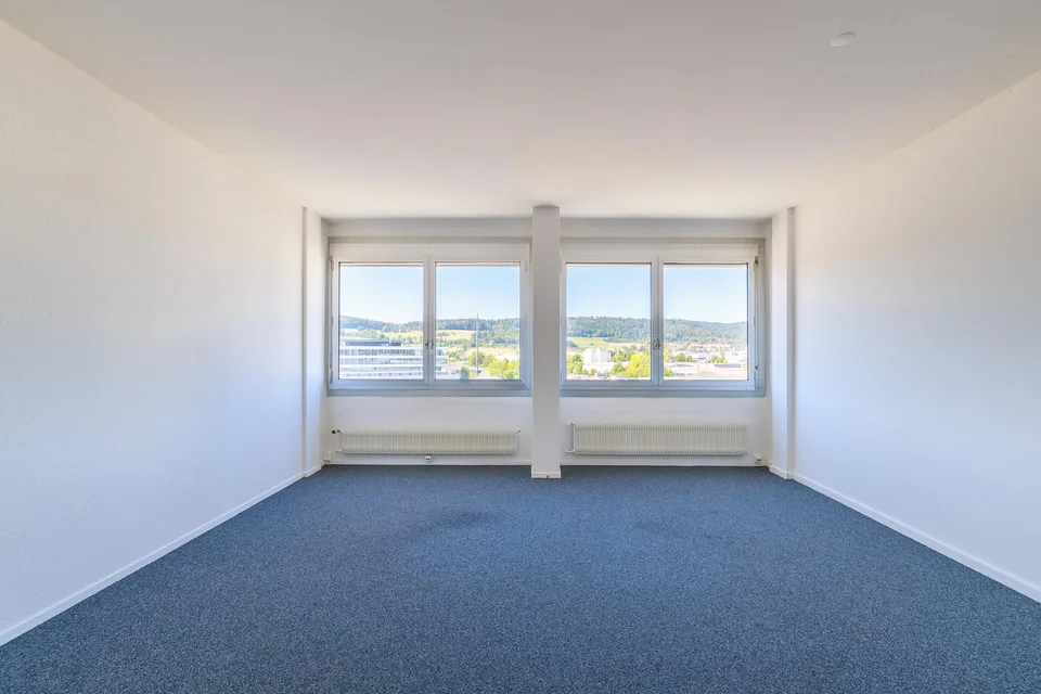 Grosszügige Büro und/ oder Gewerbefläche mit Loft-Charakter