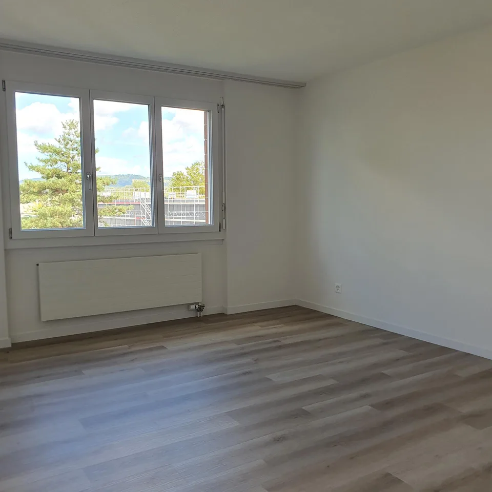 Neu renovierte 4,5-Zimmerwohnungen per 1.10.26 + 1.4.27 zu vermieten