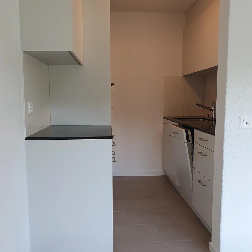 2.5-Zimmerwohnungen frisch renoviert. Bezugsbereit per 1.10.26+1.4.27!