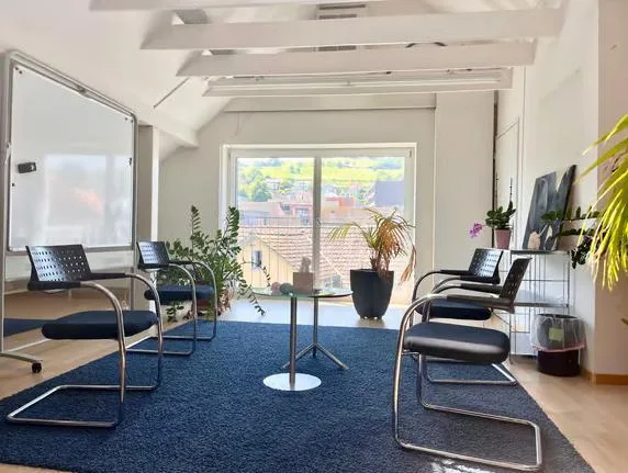 Charming office in Wädenswil