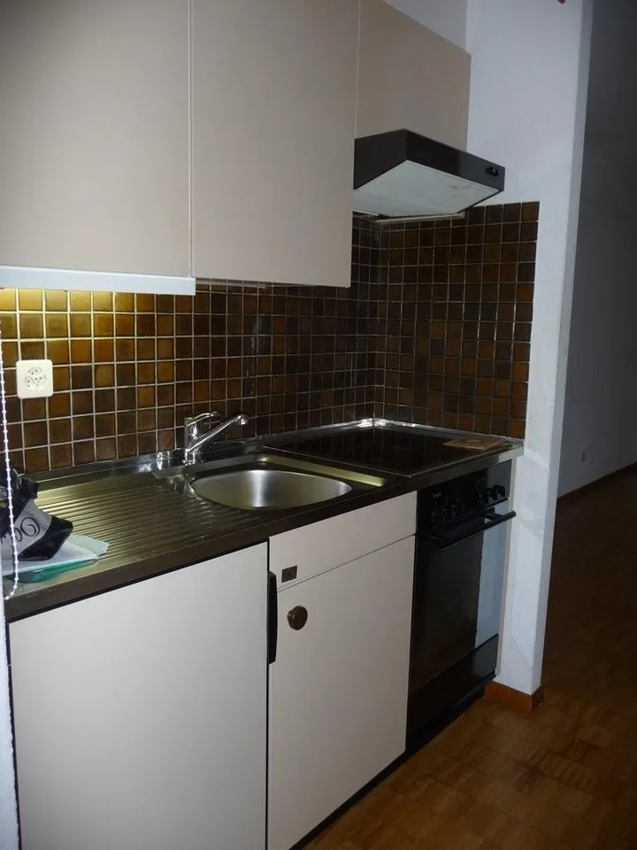 Attic Maisonette Apartment in Zürich-Oerlikon