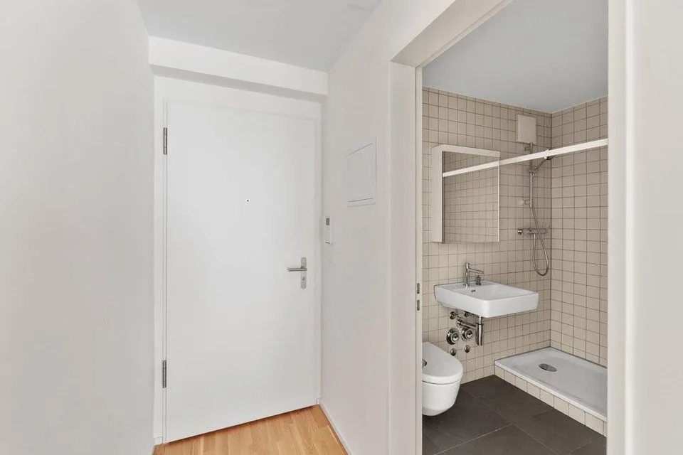 Appartamento moderno 1 camera direttamente sul Reno