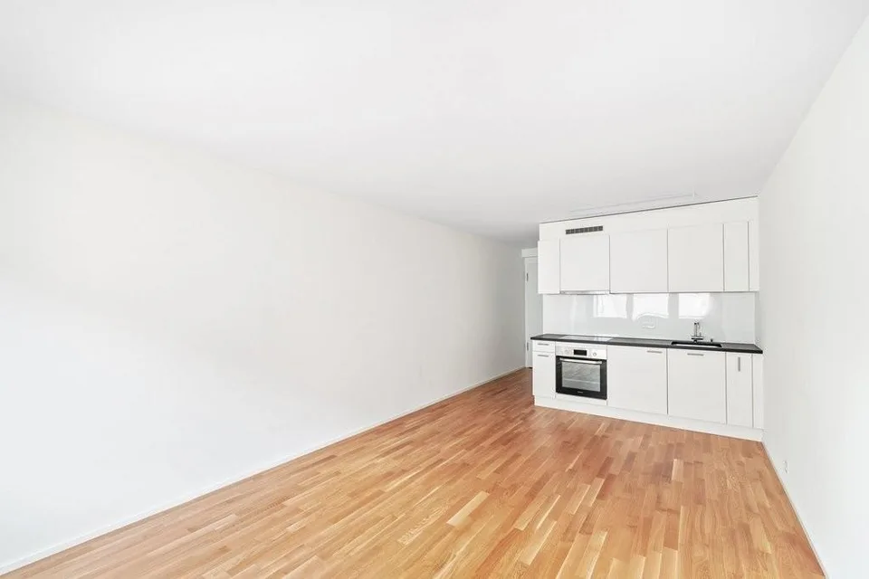 Appartamento moderno 1 camera direttamente sul Reno