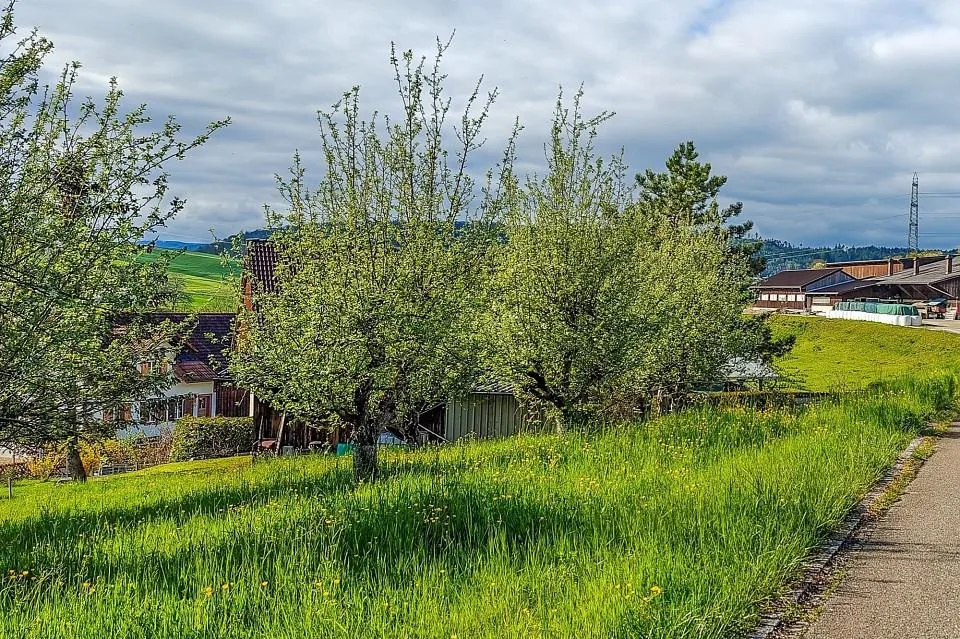 Attraktives Baugrundstück in Hottwil – sonnige Westhanglage mit att...