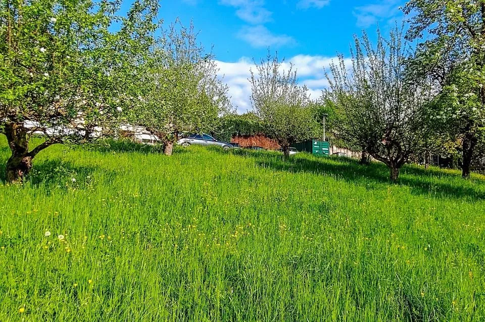 Attraktives Baugrundstück in Hottwil – sonnige Westhanglage mit att...