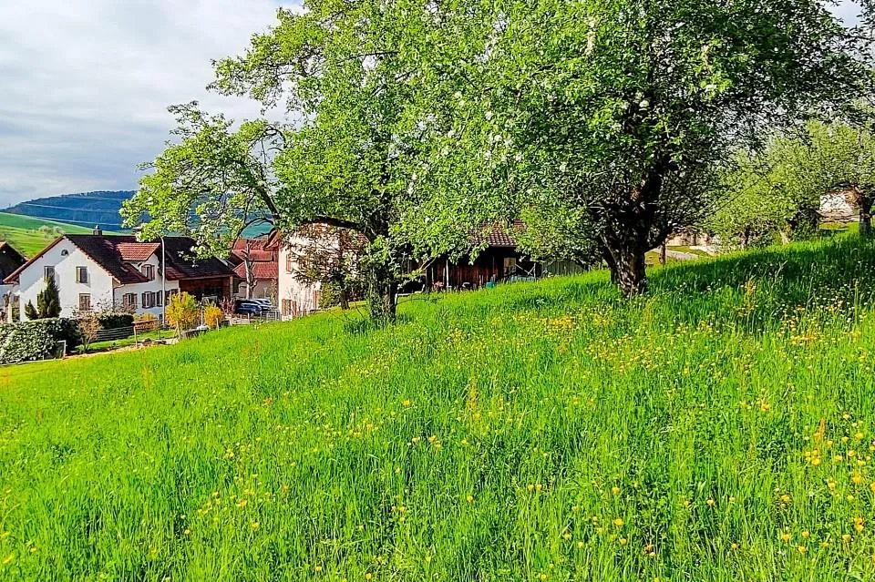 Attraktives Baugrundstück in Hottwil – sonnige Westhanglage mit att...
