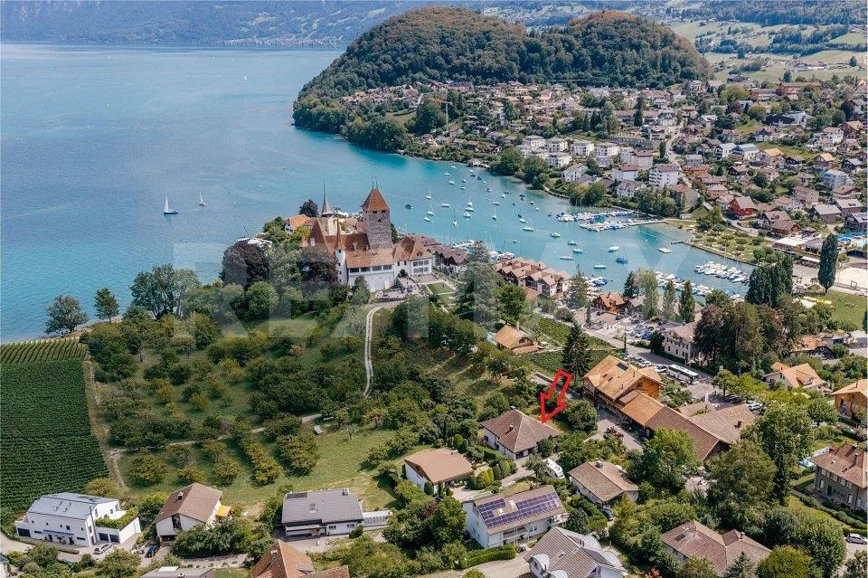 Seltene Gelegenheit mit See- und Schlossblick - grosszügiges EFH mi...