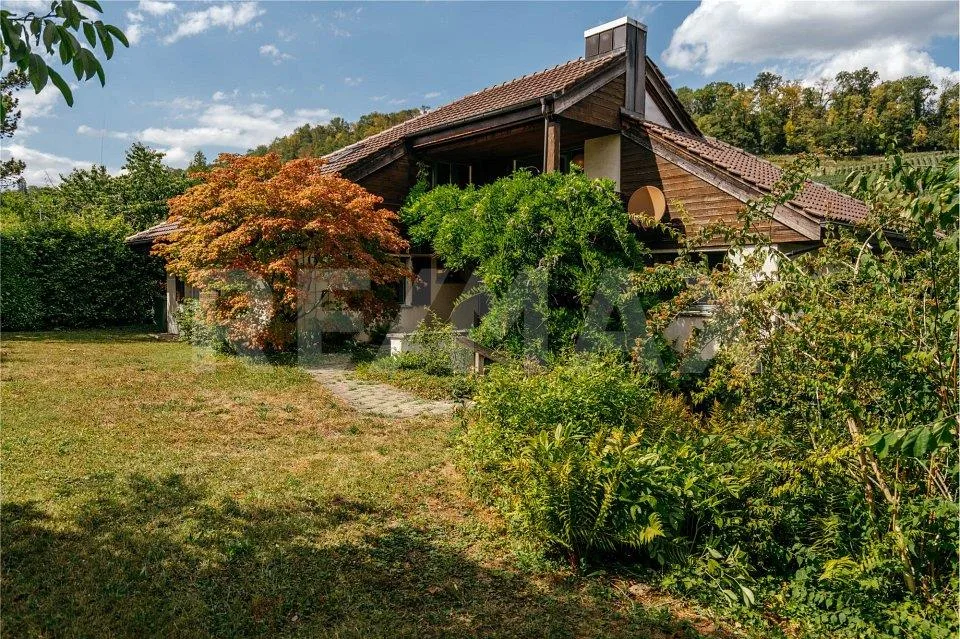 Seltene Gelegenheit mit See- und Schlossblick - grosszügiges EFH mi...