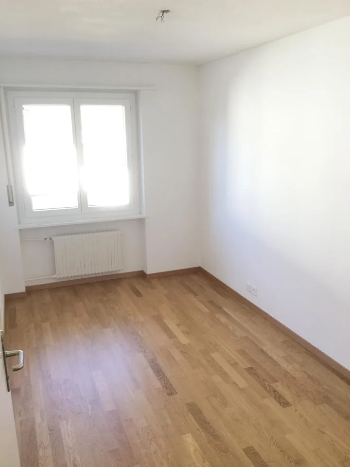 Charmante Wohnung an zentraler Lage in Küssnacht am Rigi