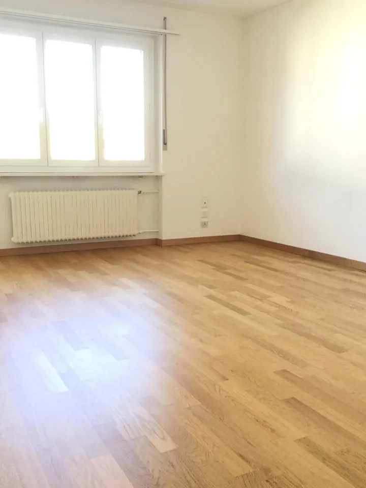 Charmante Wohnung an zentraler Lage in Küssnacht am Rigi