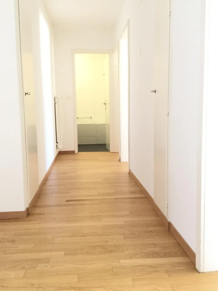 Charmante Wohnung an zentraler Lage in Küssnacht am Rigi