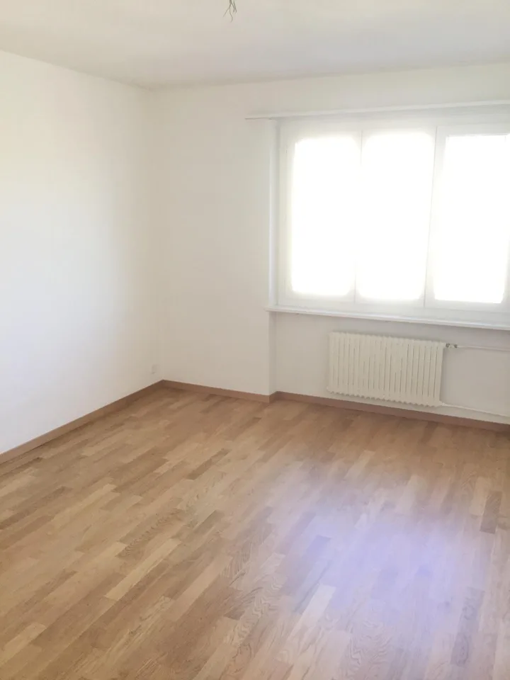 Charmante Wohnung an zentraler Lage in Küssnacht am Rigi