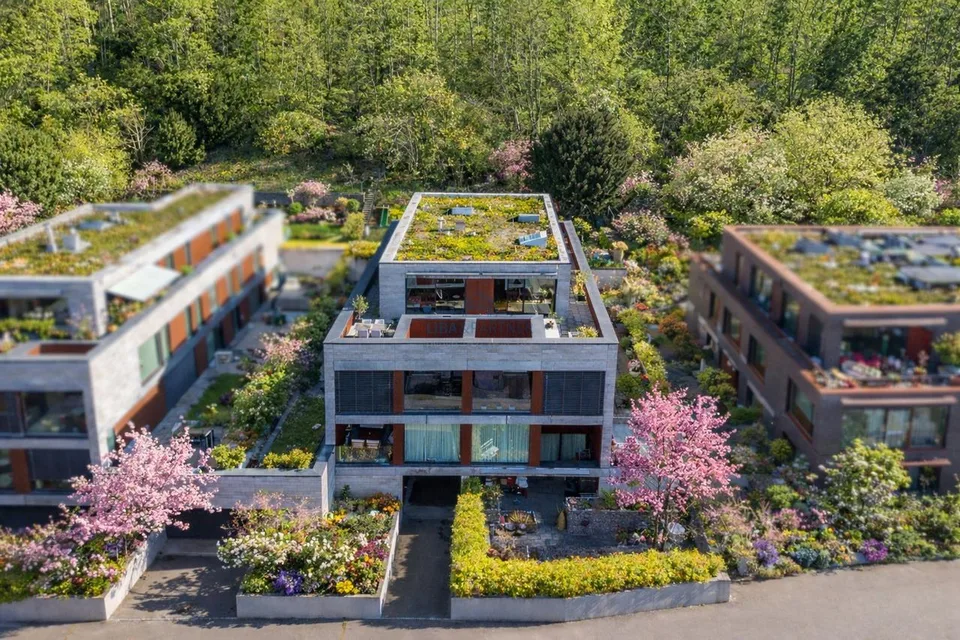 Bruderholz: Exklusive Design-Attikawohnung mit Panoramablick