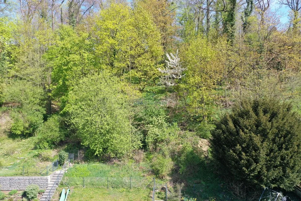 Bruderholz: Exklusive Design-Attikawohnung mit Panoramablick