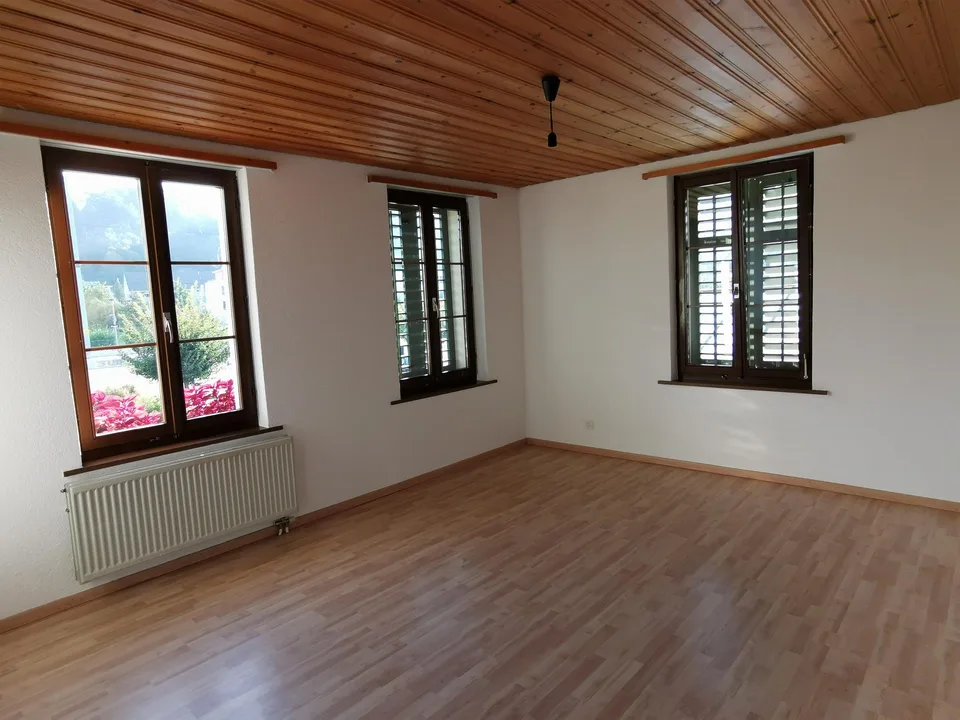 Frisch renovierte 4-Zi Wg mit Balkon und Gemeinschaftsgarten