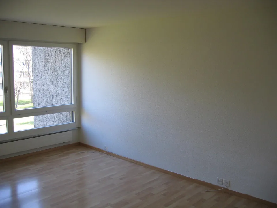 4.5-Zimmerwohnung mit Aussicht