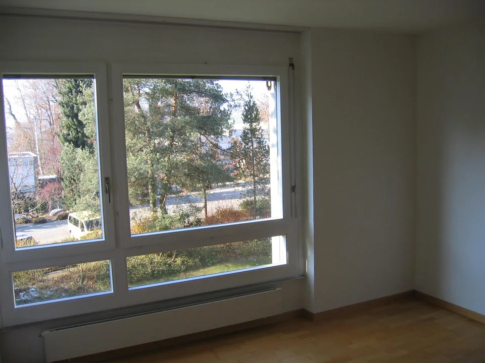 4.5-Zimmerwohnung mit Aussicht