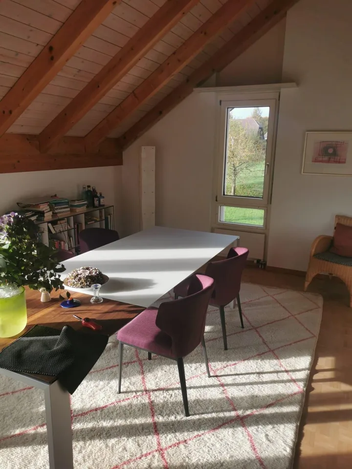 grosszügige 4.5 Zimmerwohnung mit Ausblick auf die Berner Alpen