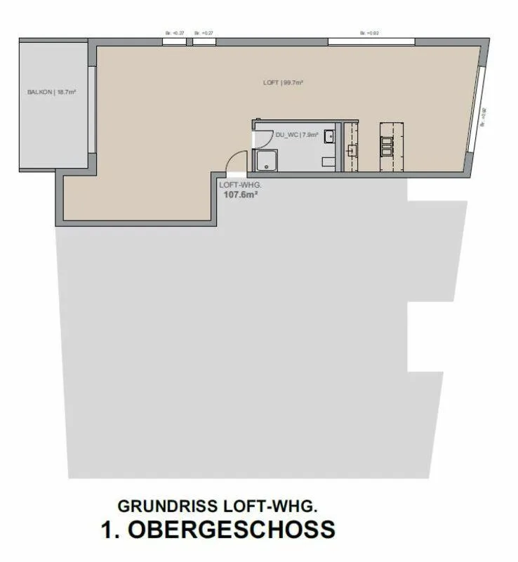 2.5 room loft-style apartment