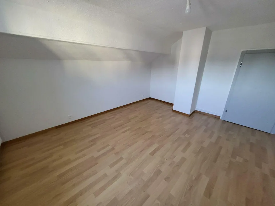 Magnificent komplett renoviertes Duplex mit großem Balkon