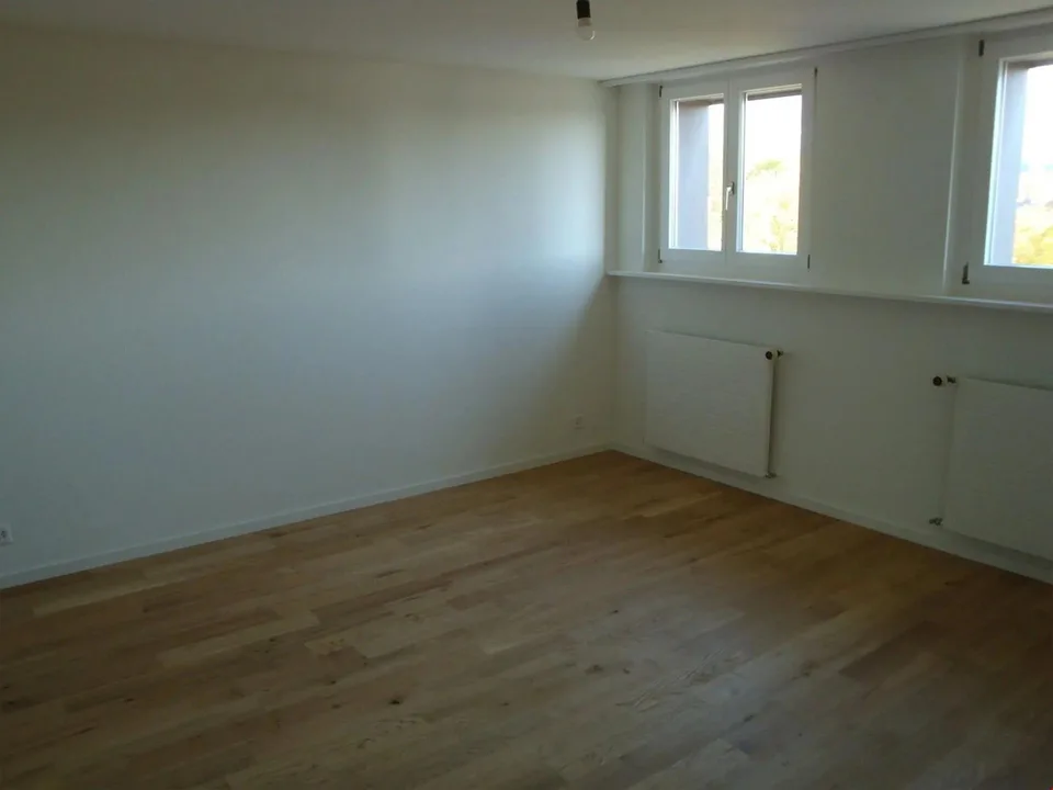 Über den Dächern von Solothurn - Dachwohnung wartet auf neue Mieter – Foto 4 von 8