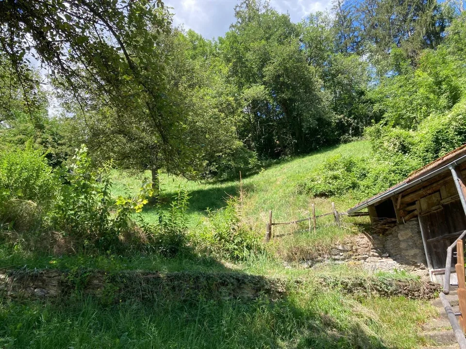 Einfache, möblierte 2.5-Zi-Wohnung (Altbau), Südhang Ilanzer Stadtrand