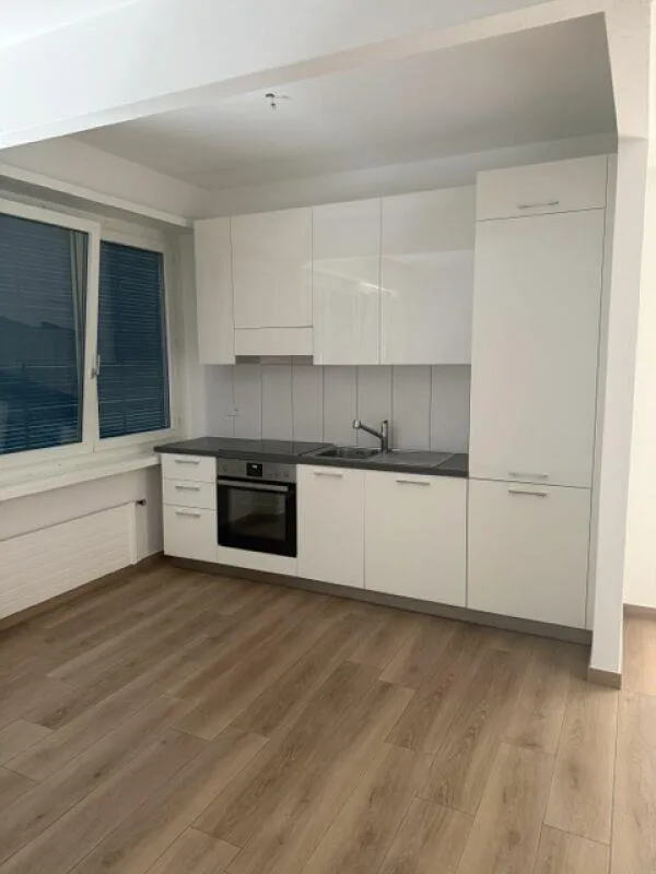Mieten wir in Bellinzona eine helle und renovierte 2.5-Zimmer-Wohnung – Foto 2 von 9
