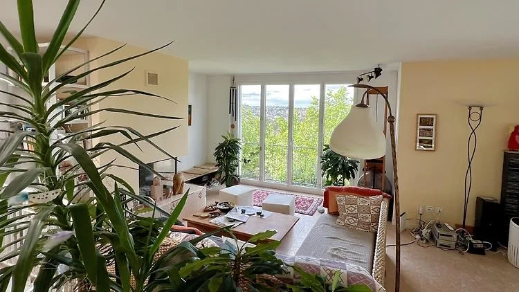 4 ZIMMER-HAUS IN THERWIL (BL), MÖBLIERT, TEMPORÄR
