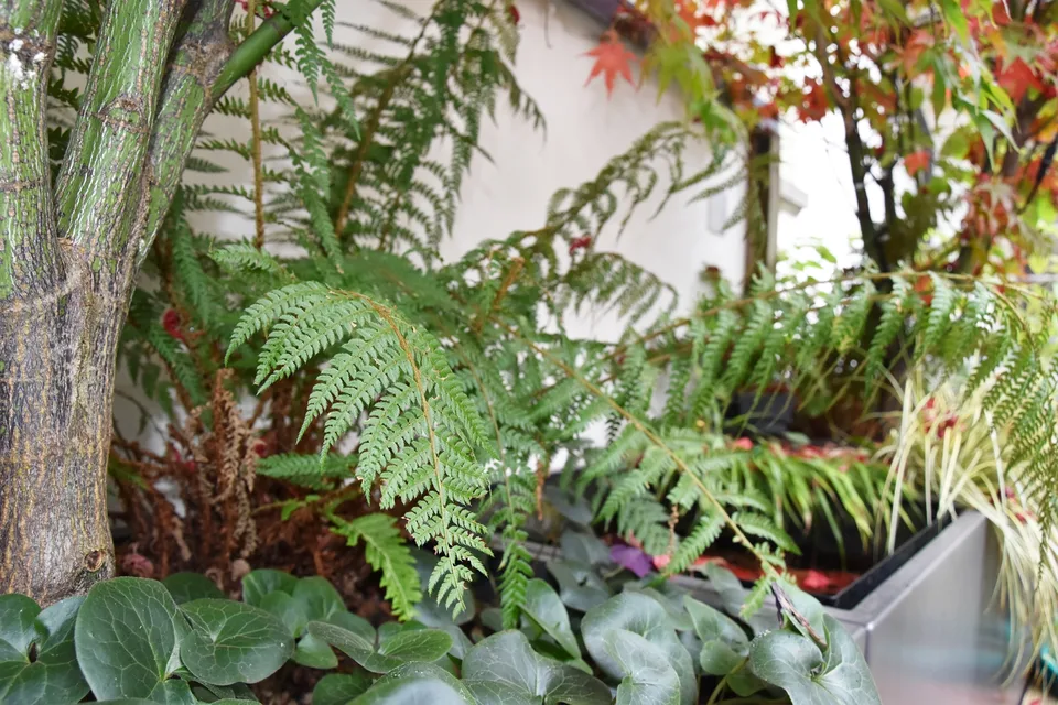 exklusive 5-Zimmerwohnung mit Dachterrasse in der Berner Altstadt – photo 20 sur 30