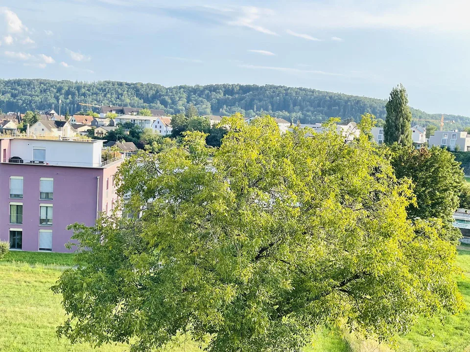 Nachmieter für 2,5 Zi-Whg in Thayngen gesucht"