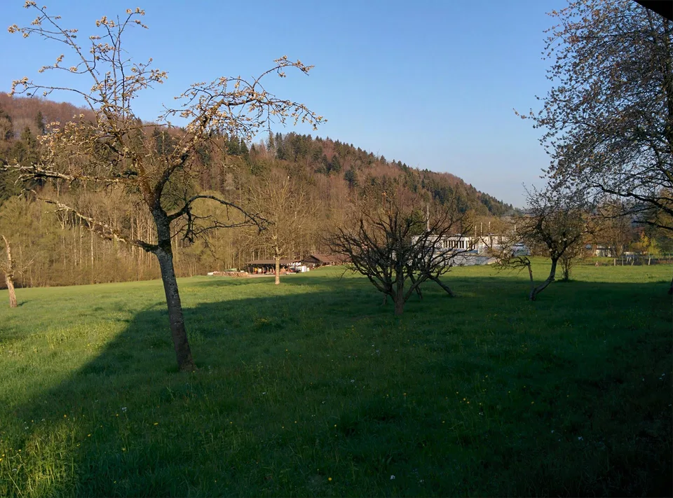 Günstige Wohnung im Bauernhaus mit grossem Naturgarten