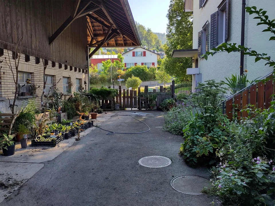 Günstige Wohnung im Bauernhaus mit grossem Naturgarten