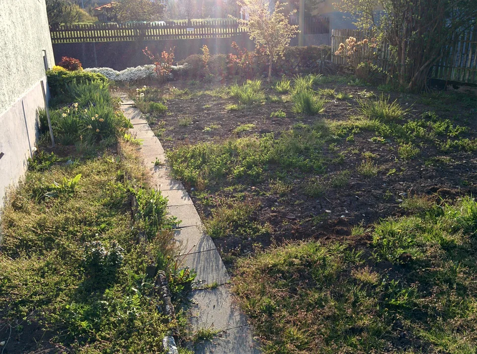 Günstige Wohnung im Bauernhaus mit grossem Naturgarten