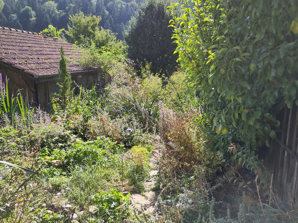 Günstige Wohnung im Bauernhaus mit grossem Naturgarten