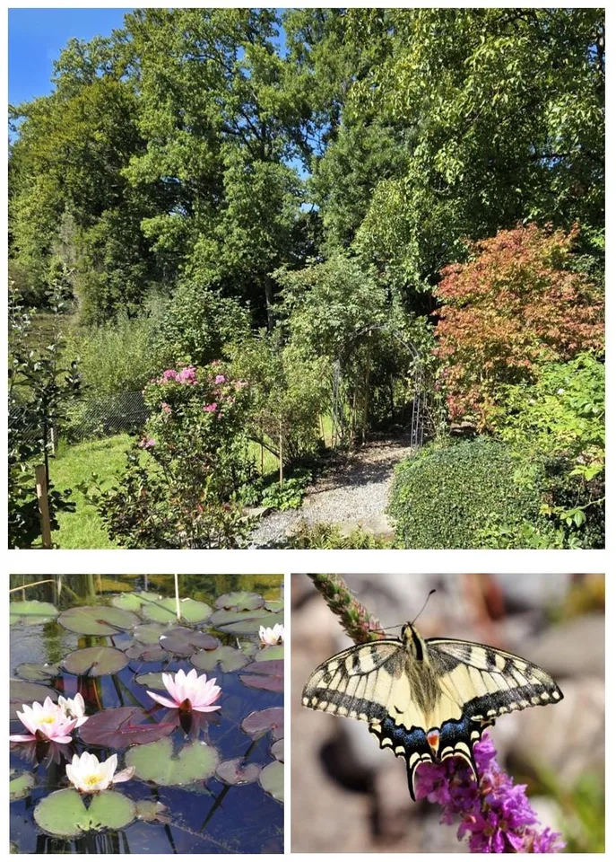 Maison de famille charmante avec jardin de rêve à Nottwil – photo 18 sur 20