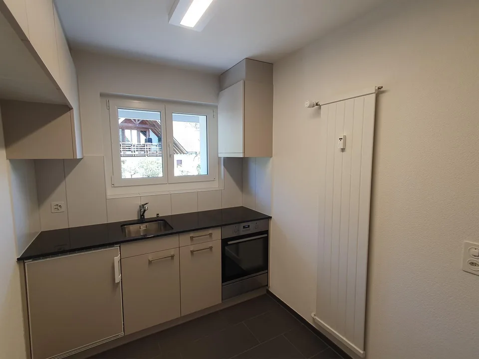 attraktive, neu sanierte 1.5 Zi-Whg