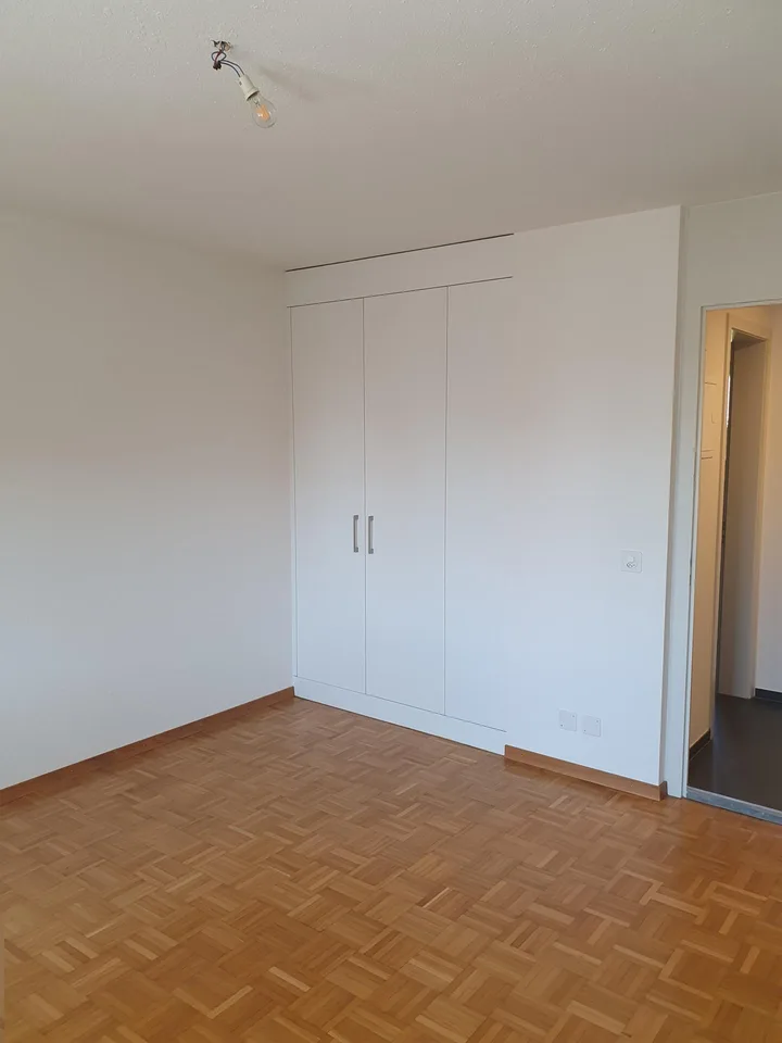 attraktive, neu sanierte 1.5 Zi-Whg