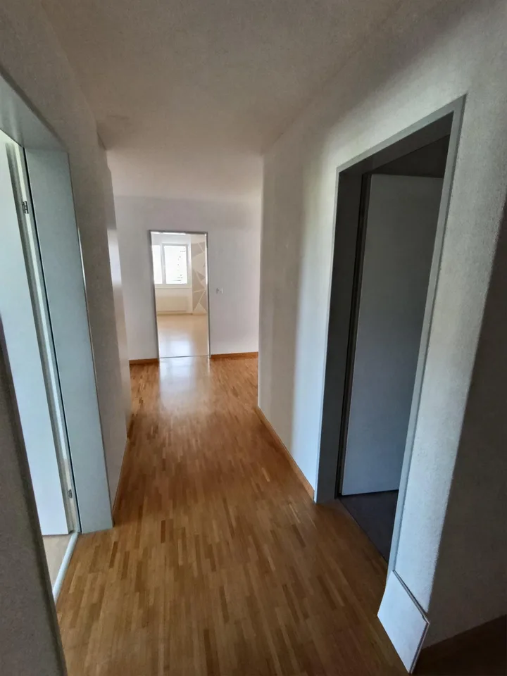 4 1/2 Zimmer Wohnung