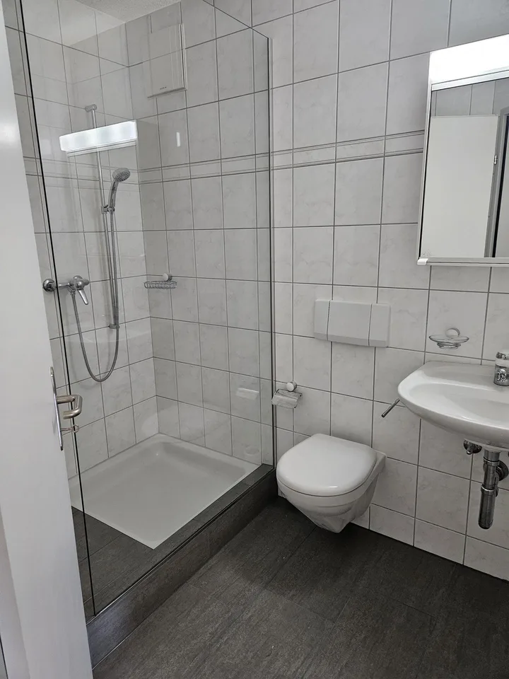 4 1/2 Zimmer Wohnung