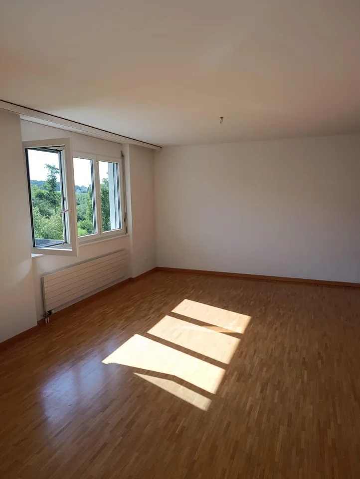 4 1/2 Zimmer Wohnung
