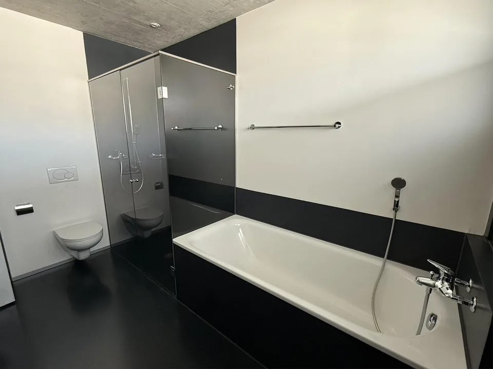 3 1/2 Zimmer Atttikawohnung im Loftcharakter mit gedeckter Terrasse