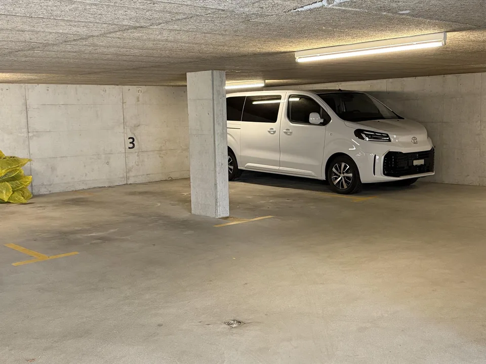 3 1/2 Zimmer Atttikawohnung im Loftcharakter mit gedeckter Terrasse