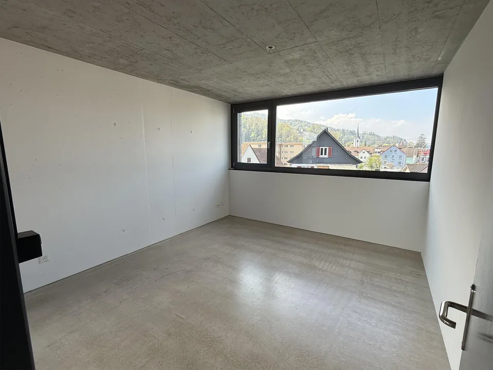 3 1/2 Zimmer Atttikawohnung im Loftcharakter mit gedeckter Terrasse